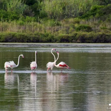 Vh Costablanca - Vanilla