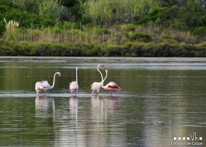 Vh Costablanca - Vanilla